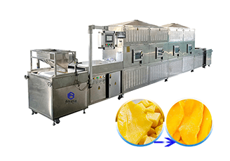 Mango drying machine